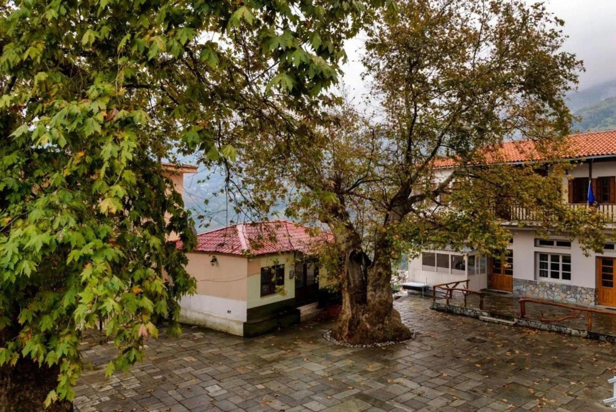 شقة Hara'S House Pelion Makrirrákhi المظهر الخارجي الصورة
