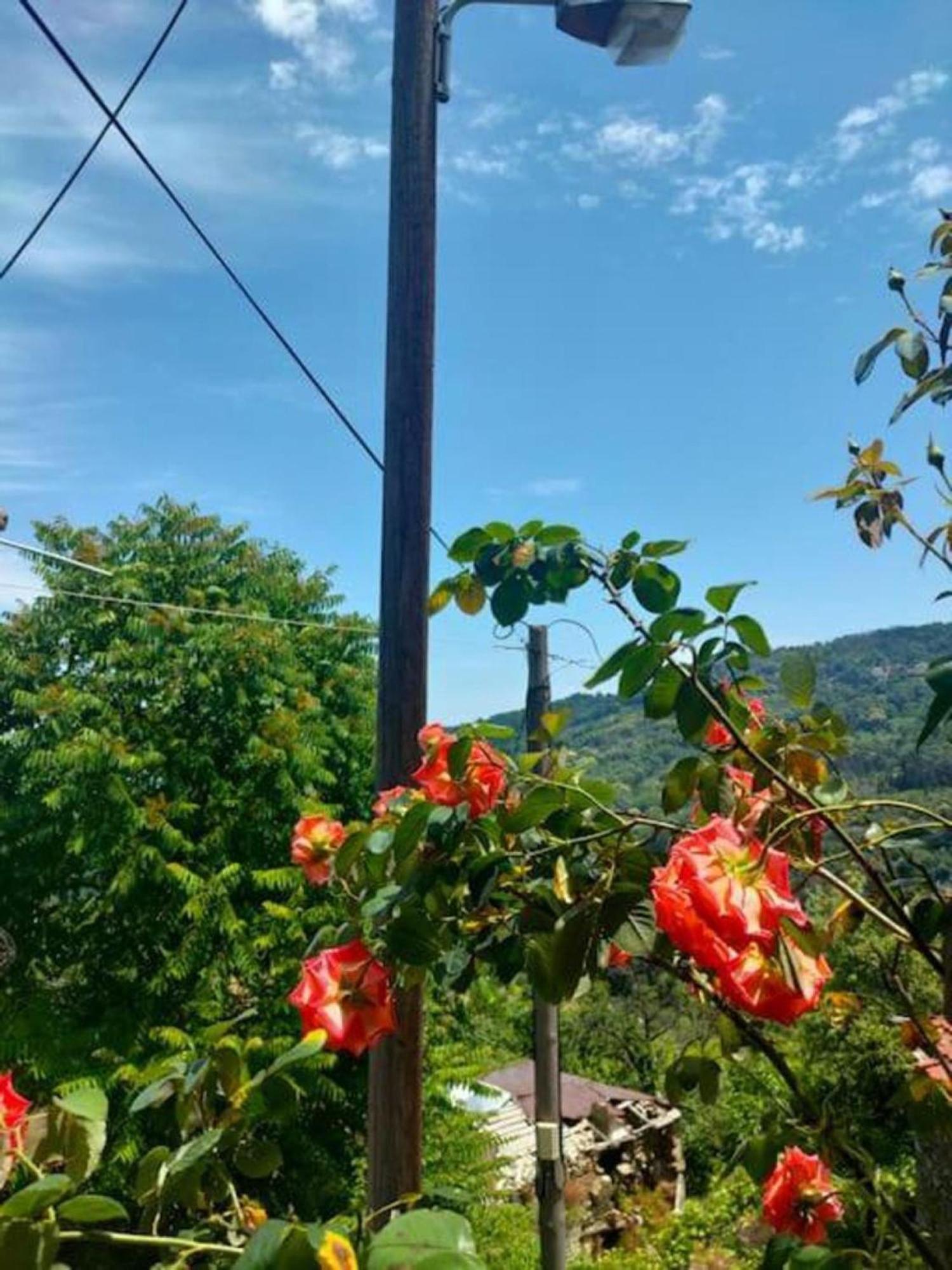 شقة Hara'S House Pelion Makrirrákhi المظهر الخارجي الصورة