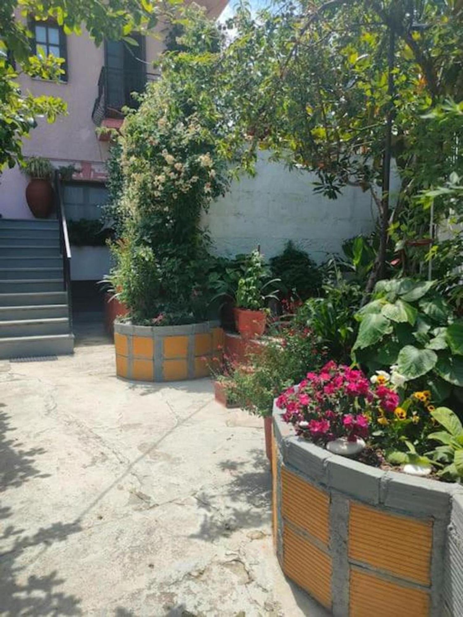 شقة Hara'S House Pelion Makrirrákhi المظهر الخارجي الصورة