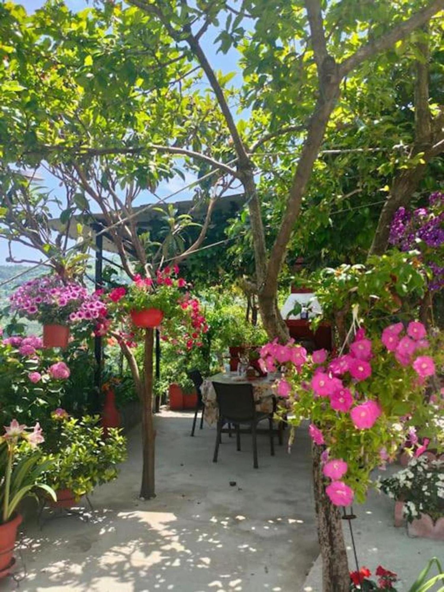 شقة Hara'S House Pelion Makrirrákhi المظهر الخارجي الصورة