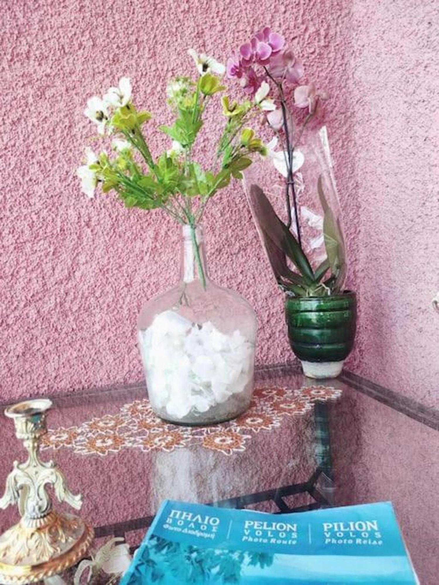 شقة Hara'S House Pelion Makrirrákhi المظهر الخارجي الصورة